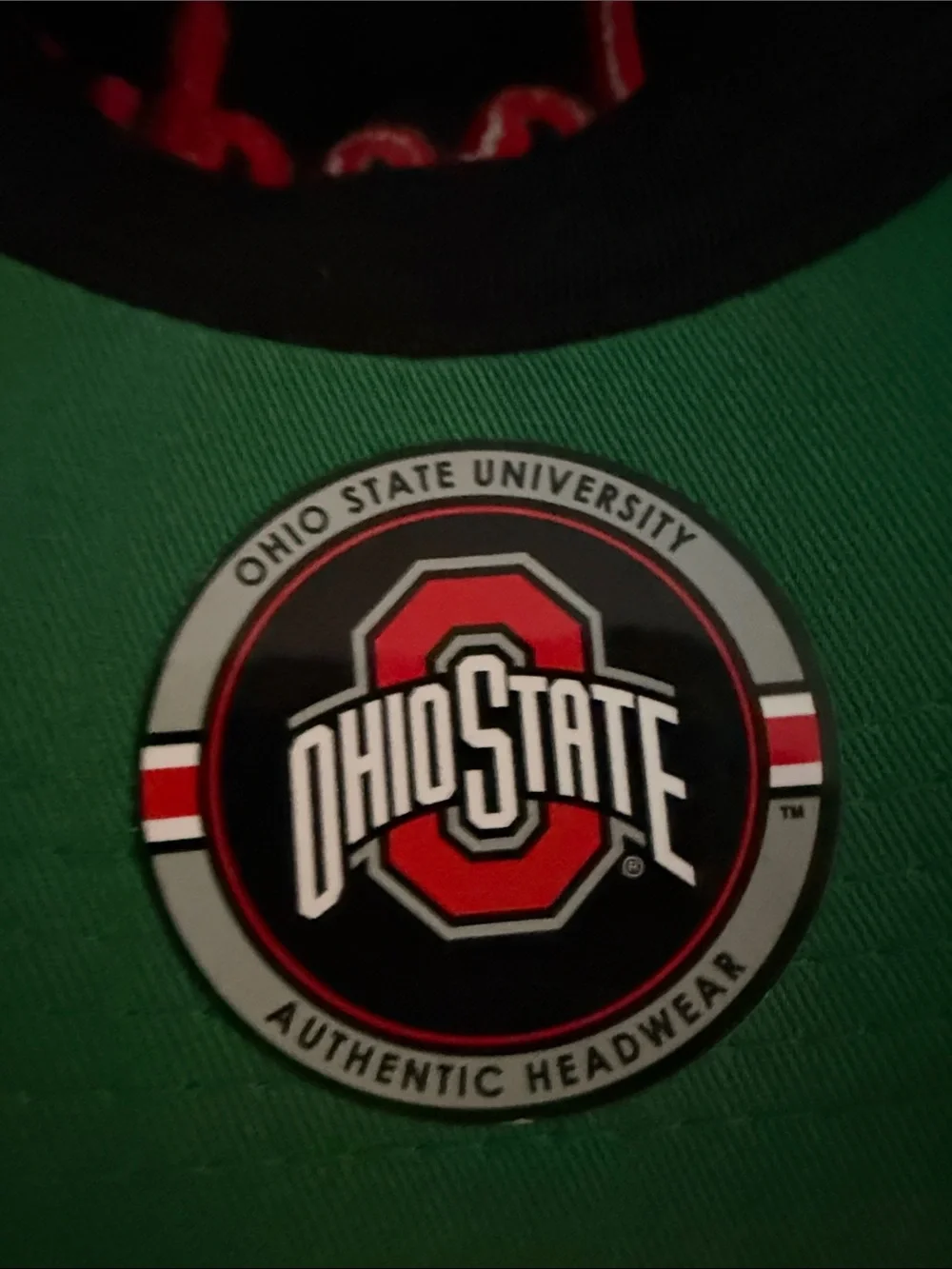 Unisex OSU Headwear The Ohio State Buckeyes Woody Script Hat One Size Fits Most